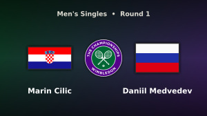 Marin Cilic vs Daniil Medvedev live stream